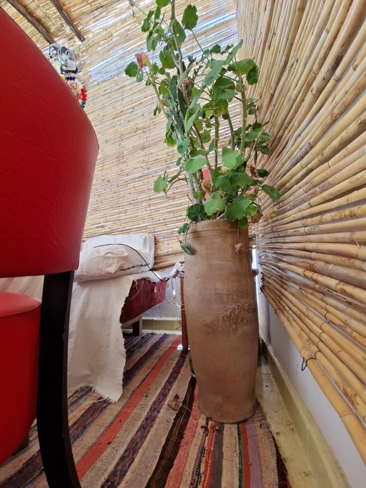 Hostel Banana Tanger Exteriör bild